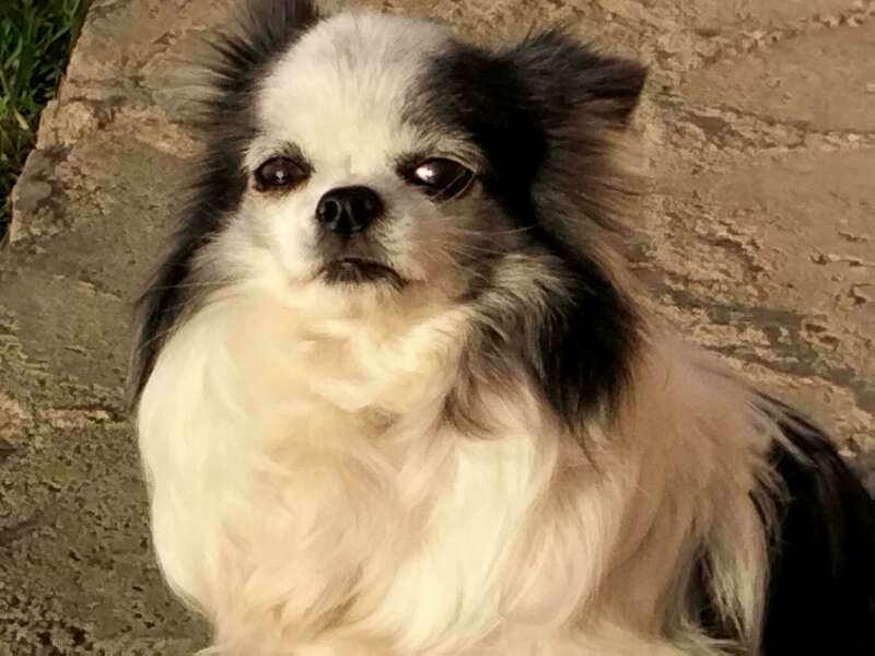 img20220410194041_burst000_cover