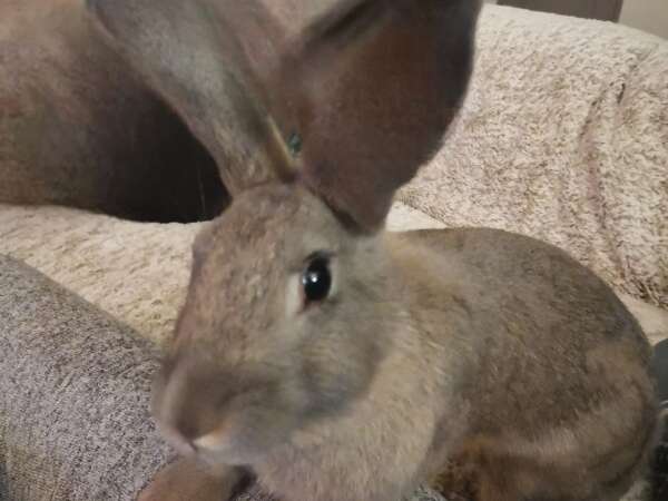 img-20260522-wa0016