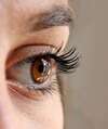 Gros plan iris marron pour examen iridologie vitalité organes