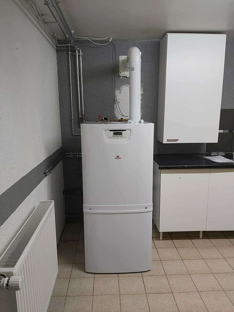 2021-02-2620250312-28098-1m4rgm1