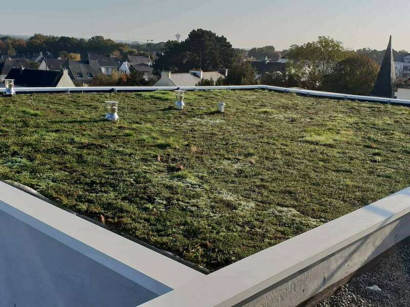toiture_vegetalisee