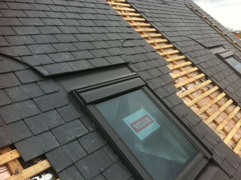 queue_d_arronde_sur_velux