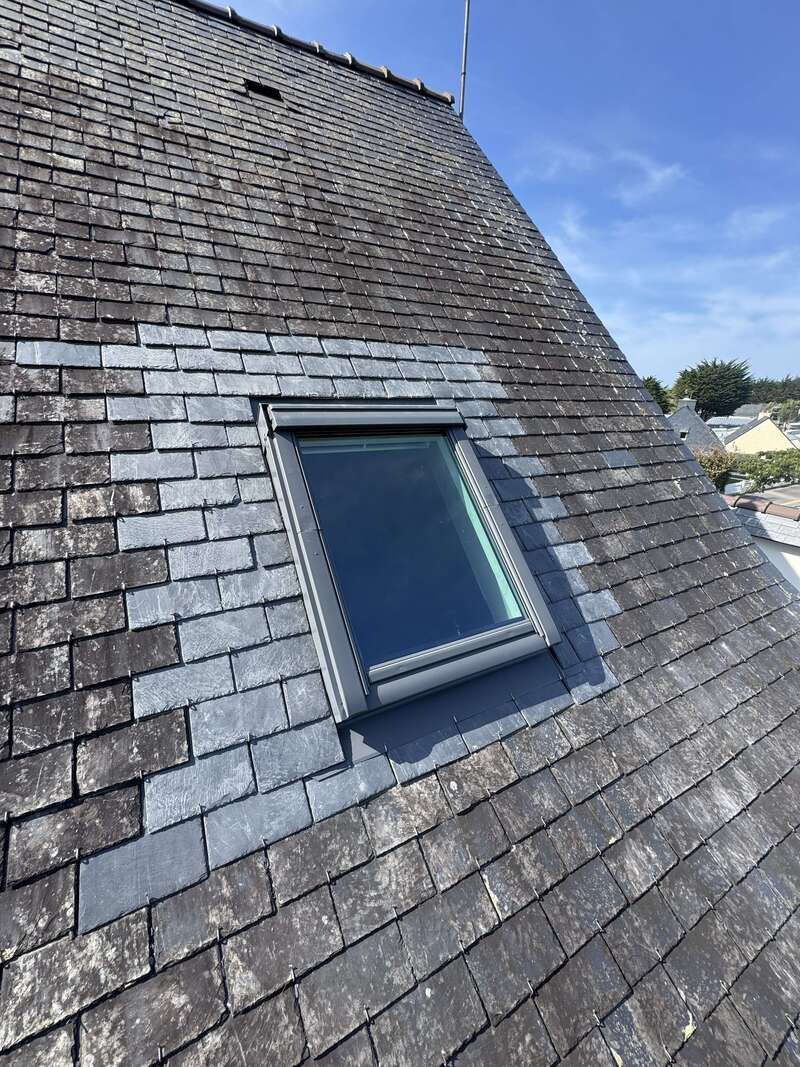 img_482120260124-1732086-1ef988