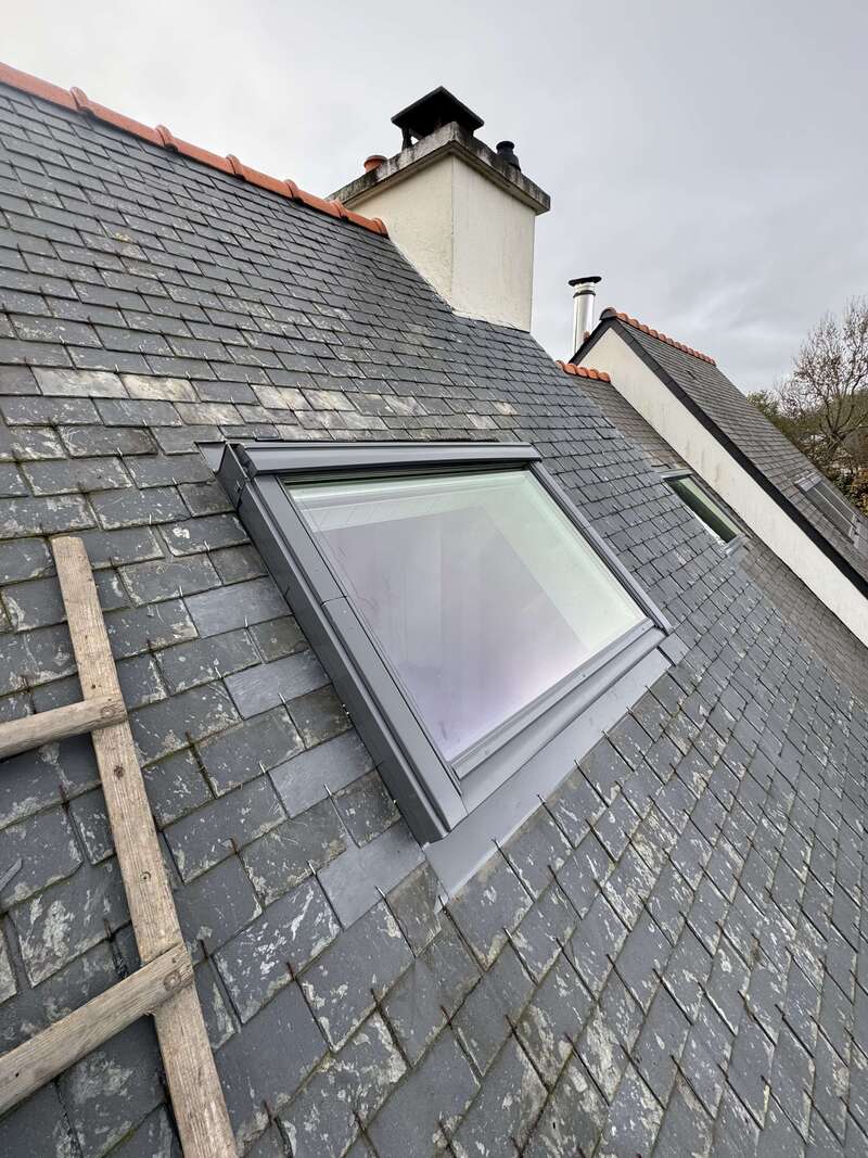 img_534920260124-1743581-3fjl95