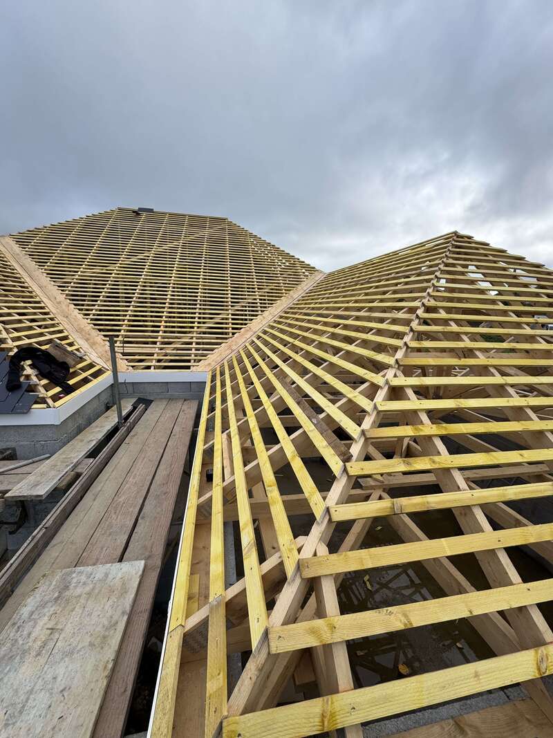 img_507720260124-1743581-tb53he