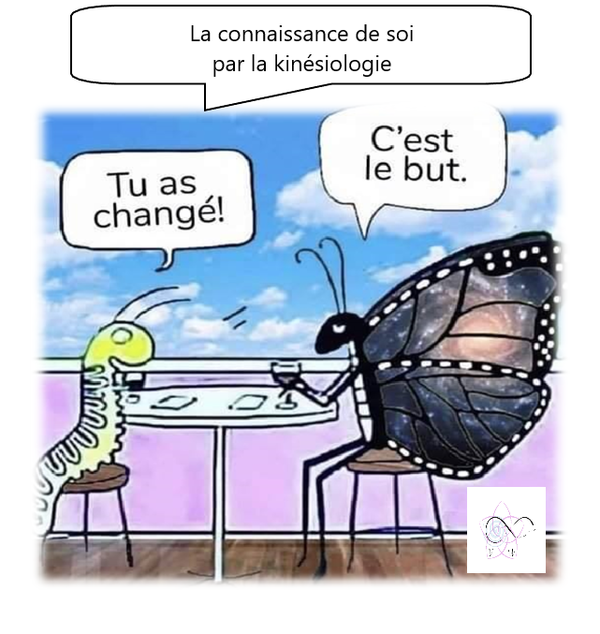 LA CONNAISSANCE DE SOI " QUI SUIS-JE ? "