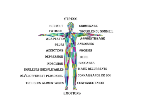 LES MESSAGES DES SYMPTOMES