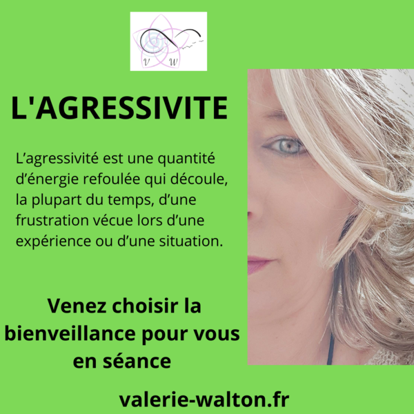 L'AGRESSIVITE