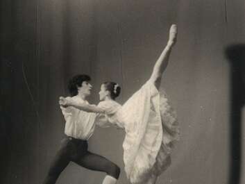 26d20210306-1231294-yn1ddf