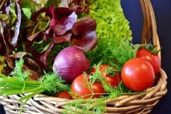 Pourquoi une alimentation hypotoxique permet de rester en forme quand on avance dans l’âge ?