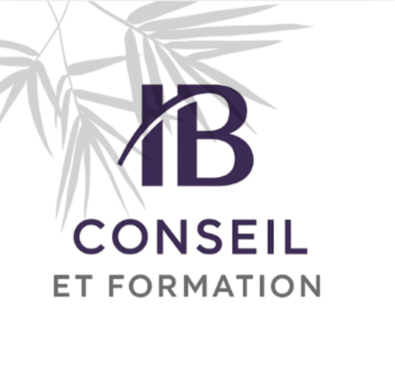 Logo IB Conseil & Formation