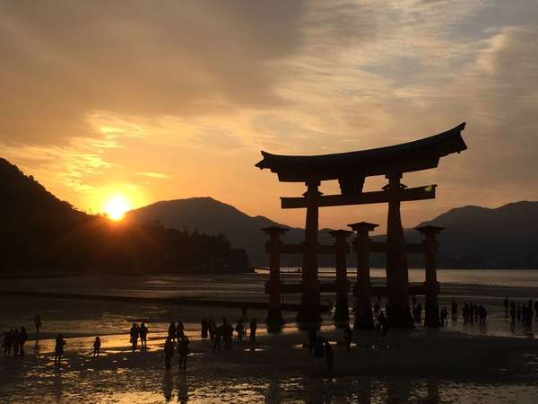 SHIATSU QI LIBRE SHIATSU QI LIBRE