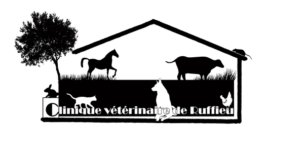 Logo Clinique Vétérinaire de Ruffieu