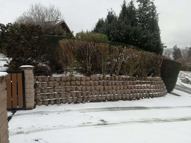 54257694_376962816192724_3744799203906289664_n20190325-3736690-ojr87n