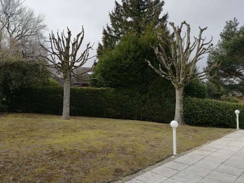 54369257_376962939526045_2401368613794611200_n20190325-3736690-om2rkb