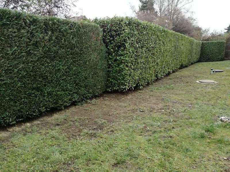 54398083_376962856192720_2213395276981338112_n20190325-3736690-yi5lvd