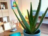 377551979_808165631310014_1029204627663031291_n