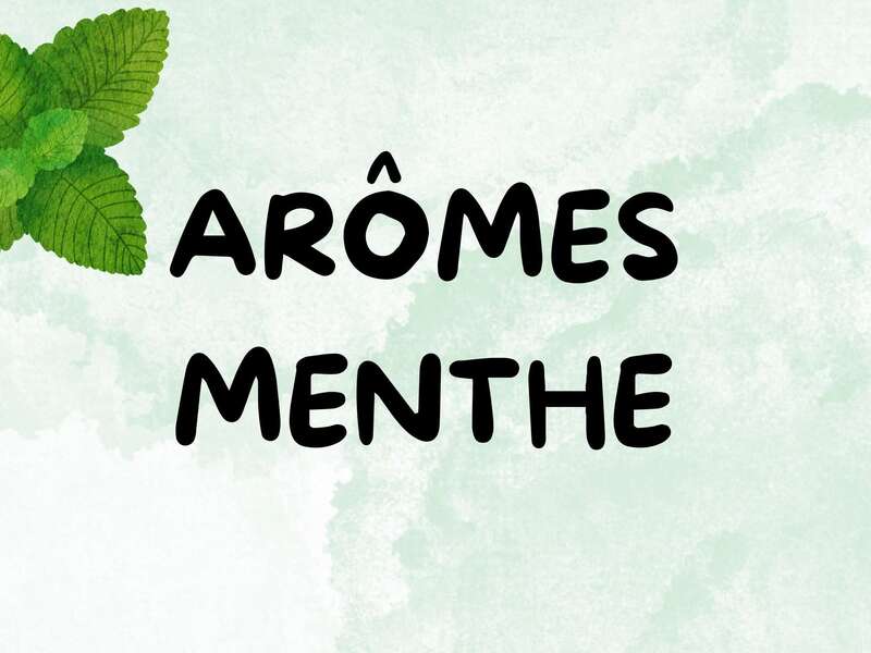 slide_aromes__3__page-0001