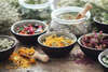 formation de naturopathie pour animaux