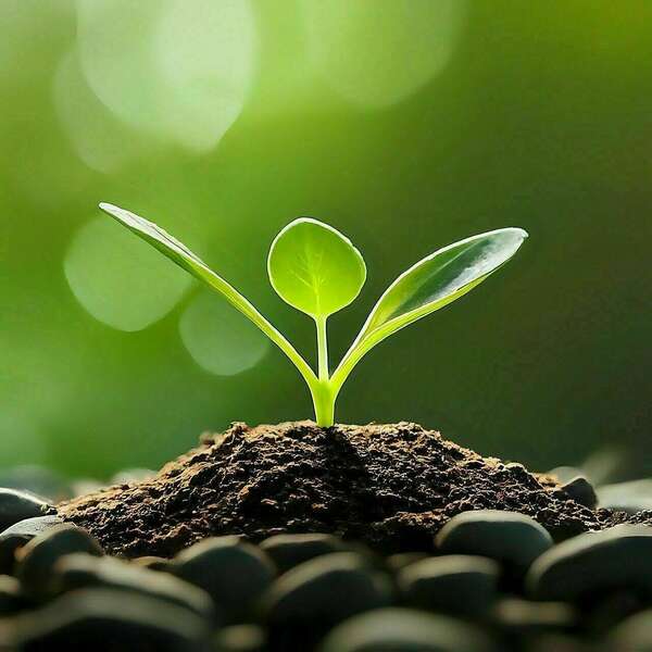 Comment l'énergie circule en vous