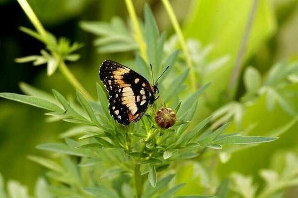 "l'âme agit" de l'énergie