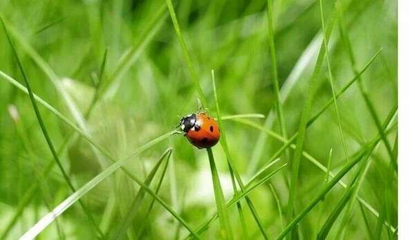 Niveau de santé et énergie