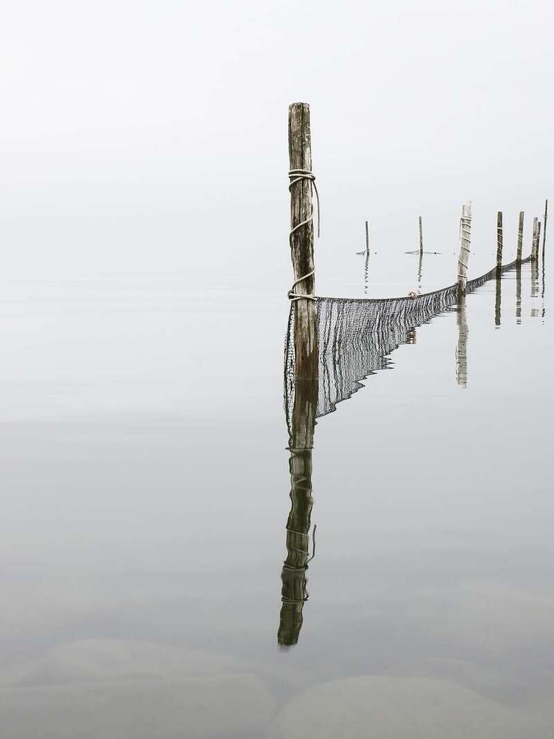 Libération et Équilibre des lieux à Tigy