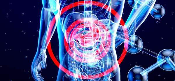 L’Intestin : Entre microbiote et lâcher-prise émotionnel