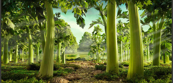 Les remèdes cachés de l’alimentation