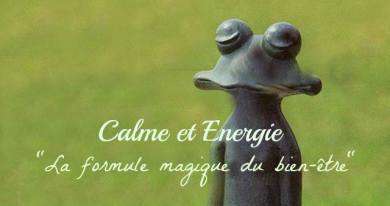 Restriction calorique et vieillissement