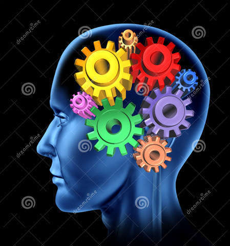 Comment stimuler notre système immunitaire ?