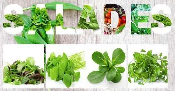 Les trésors de la nature