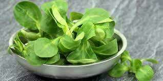 Salade de mâche boudin noir