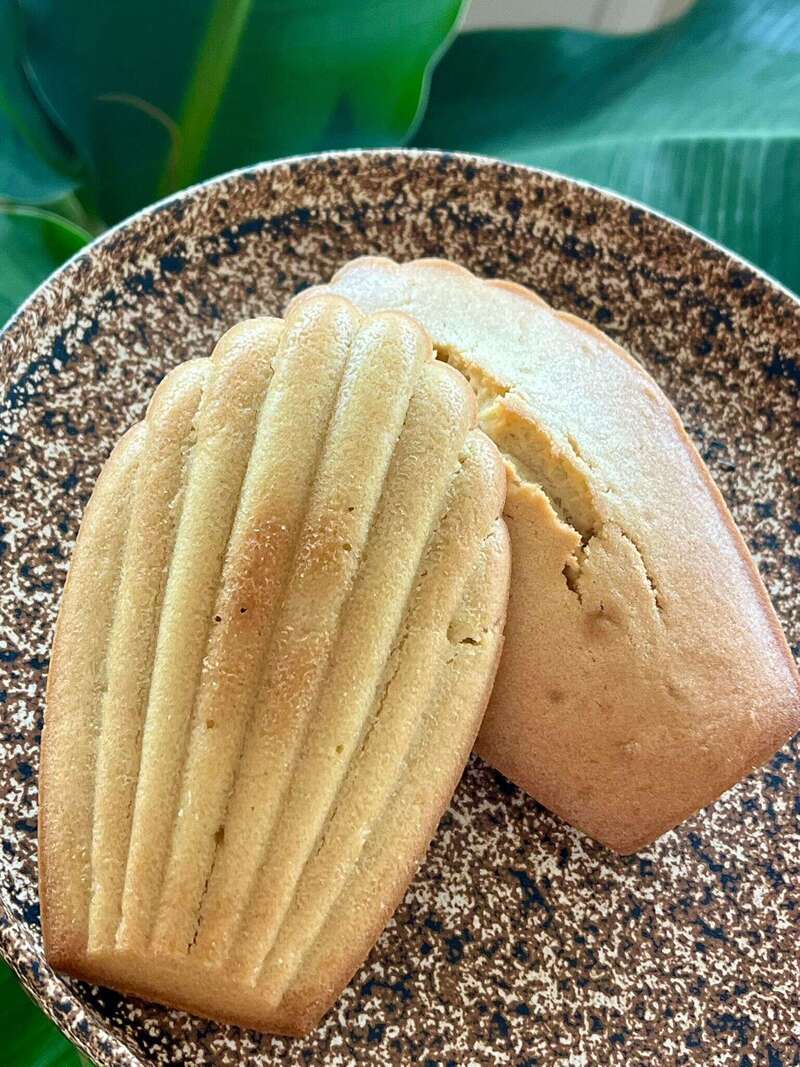 whatsapp_image_2026-03-30_at_13-39-04