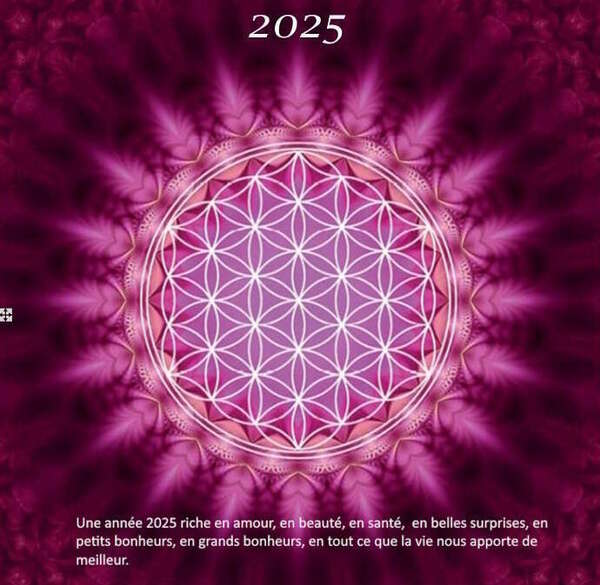 Bonne année 2025