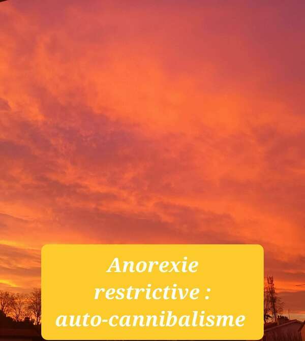 Auto-cannibalisme