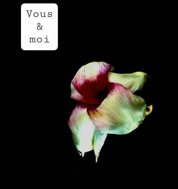 Comment vous "entrez " dans ma vie ?