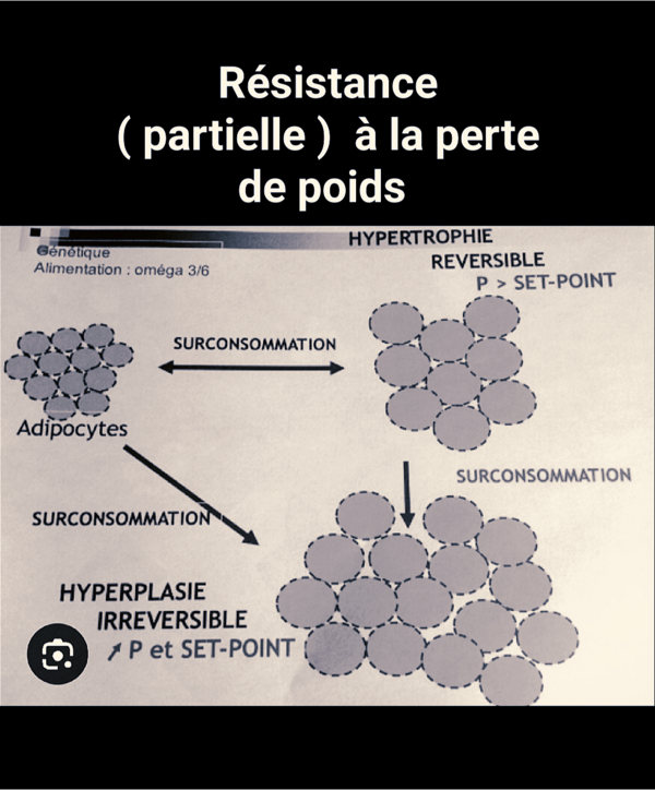 Résistance à la perte de poids