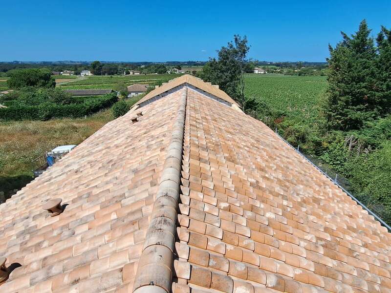 20240805_12323520241018-3697173-1u34d53