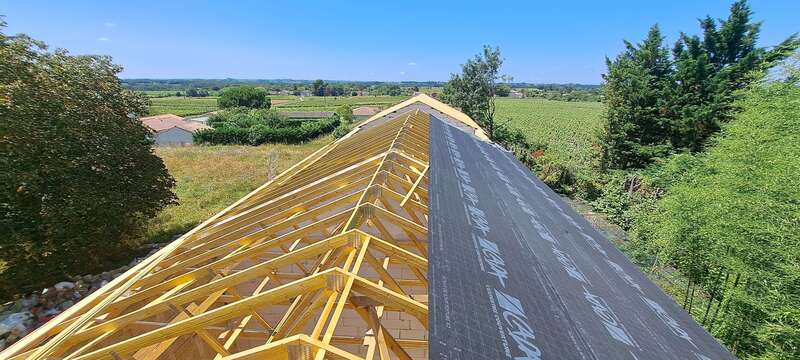 20240723_14162520241018-3697173-z11g5m