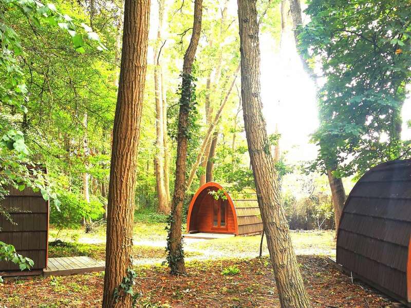 l_ecurie_d_emma_77_pod_exterieur_14