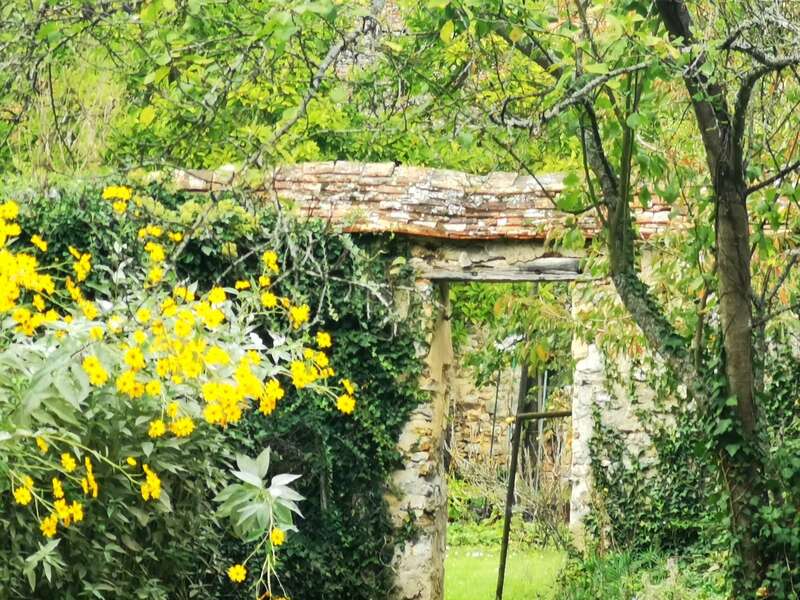 l_ecurie_d_emma_77_exterieur_26