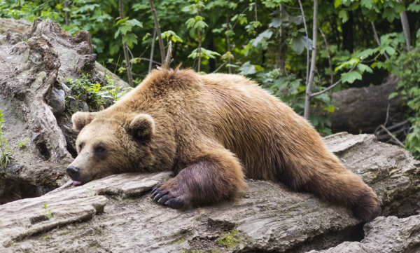 image blog méridien 