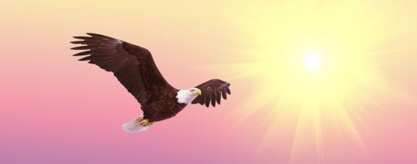 image blog méridien 