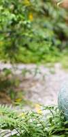 Ghislaine Millet, Naturopathie à Lyon