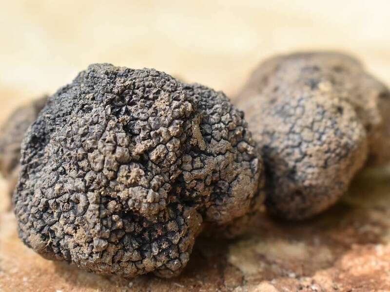 truffle-4150670_1280