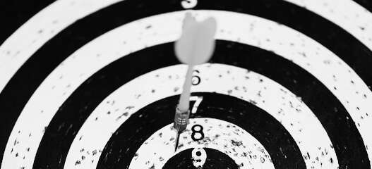 Le mouton à trois pattes - Le candidat imparfait