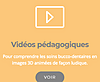Vidéos pédagogiques 