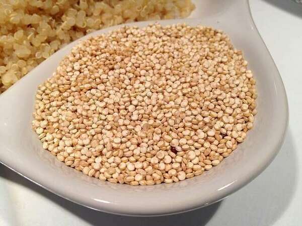 Pourquoi consommer du quinoa ?