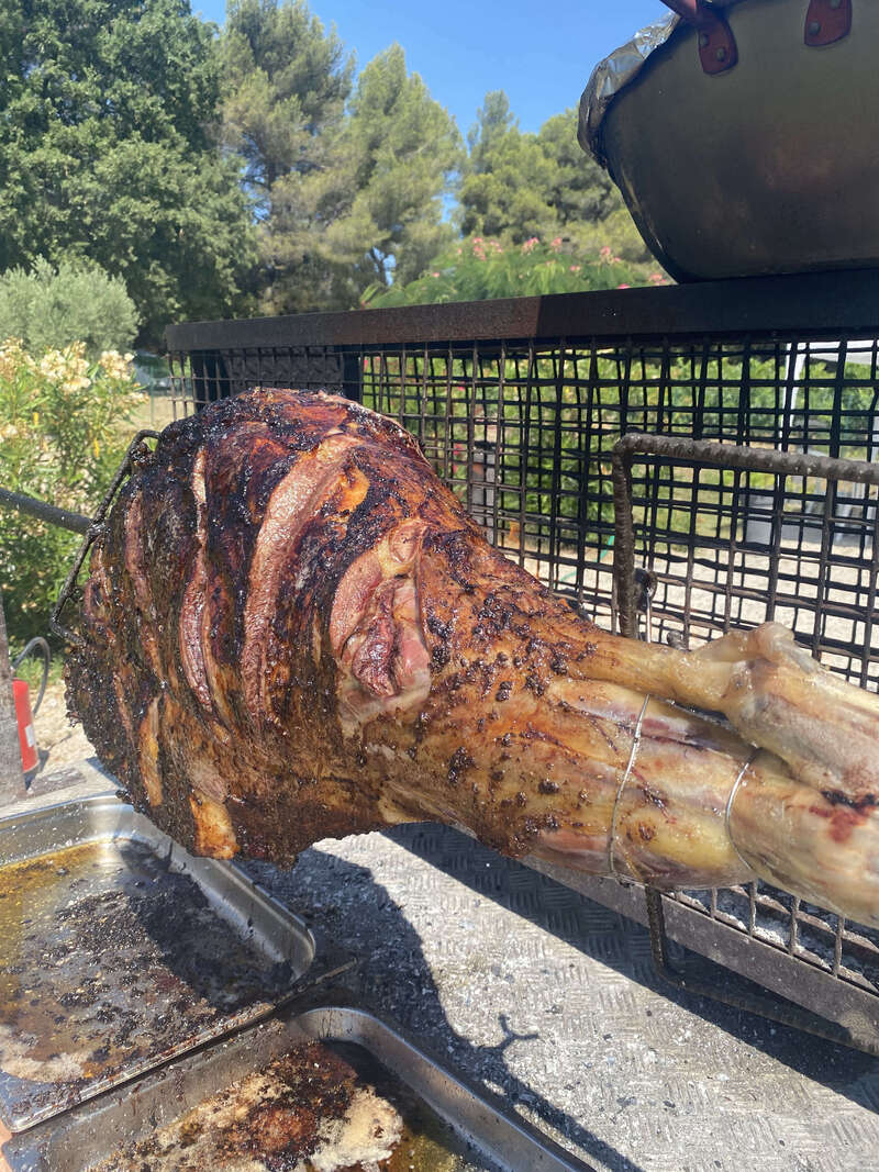 64889966418__ee6666b0-7ab4-47ad-9be0-e1ca23d36d7a_2